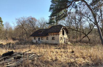 Historická vila na prodej Słubice, Lubušské, Foto 4/15