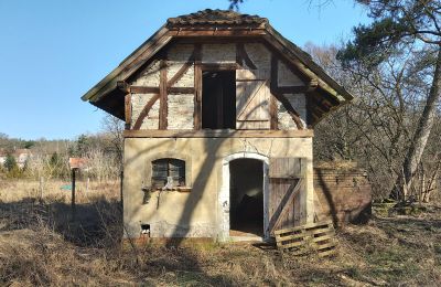 Historická vila na prodej Słubice, Lubušské, Foto 5/15