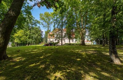 Zámek na prodej Marzewo, Varmijsko-mazurské vojvodství, Park