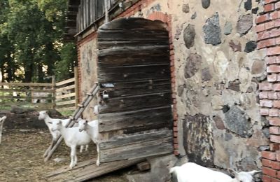 Zámeček na prodej Vandzene, Kurzeme, Foto 4/7