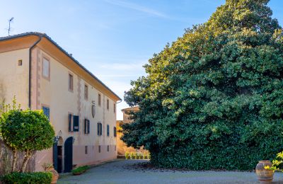 Historická vila na prodej Crespina, Toscana, Foto 33/38