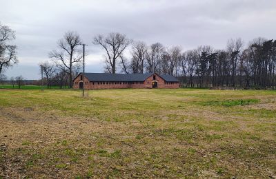 Zámeček na prodej Raszków, Svatokřížské vojvodství, Foto 5/16