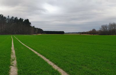 Zámeček na prodej Raszków, Svatokřížské vojvodství, Foto 7/16