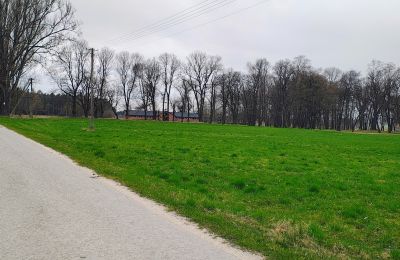 Zámeček na prodej Raszków, Svatokřížské vojvodství, Foto 14/16