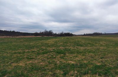 Zámeček na prodej Raszków, Svatokřížské vojvodství, Foto 16/16