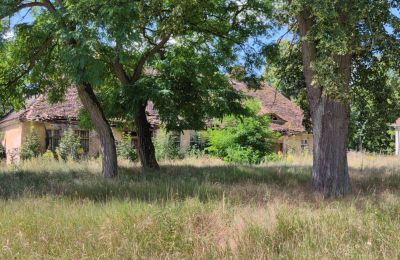 Zámeček na prodej Lubuszské vojvodství, Foto 7/16