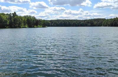 Zámeček na prodej Lubuszské vojvodství, Foto 13/16