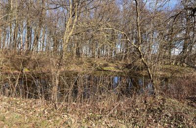 Zámek na prodej Kępica, Kępica 20 A, Západopomořanské vojvodství, Foto 12/13