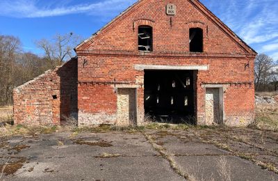 Zámek na prodej Kępica, Kępica 20 A, Západopomořanské vojvodství, Foto 5/13