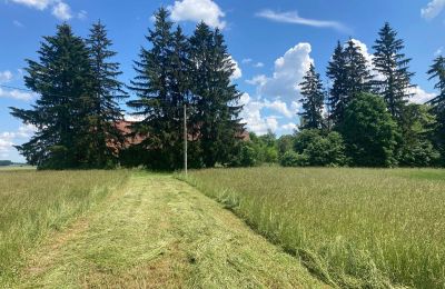 Venkovský dům na prodej Bądze, Varmijsko-mazurské vojvodství, Foto 7/8