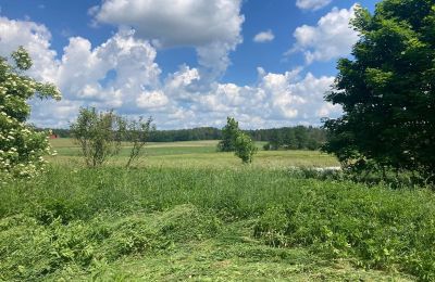 Venkovský dům na prodej Bądze, Varmijsko-mazurské vojvodství, Foto 6/8