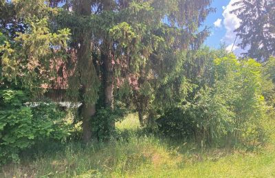 Venkovský dům na prodej Bądze, Varmijsko-mazurské vojvodství, Foto 5/8