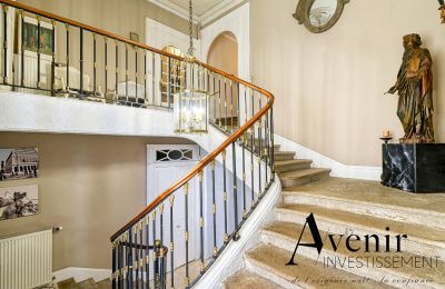 Historická vila na prodej Vaugneray, Auvergne-Rhône-Alpes, Foto 4/12