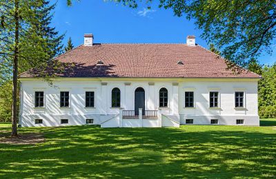 Zámeček na prodej Tömörd, Fő utca 11, Župa Vas, Pohled zepředu