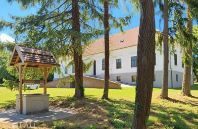 Zámeček na prodej Tömörd, Fő utca 11, Župa Vas, Foto 5/21