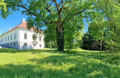Zámeček na prodej Tömörd, Fő utca 11, Župa Vas, Park