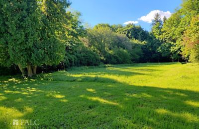 Zámeček na prodej Tömörd, Fő utca 11, Župa Vas, Park