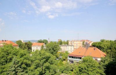 Zámek na prodej Jawor, Armii Krajowej 7, Dolní Slezsko, Foto 15/20