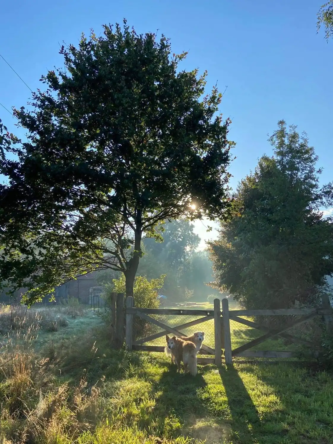 Obrázky Venkovské sídlo v pohraničí Polska, Německa a České republiky