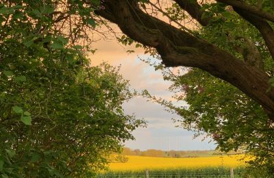 Zámeček na prodej Brandenburg, Blick auf Koppel - Weitblick