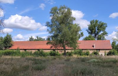 Zámeček na prodej 66-300 Bobowicko, Lubušské, Foto 11/14