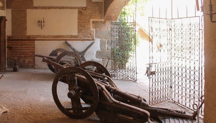 Narros de Saldueña 3
