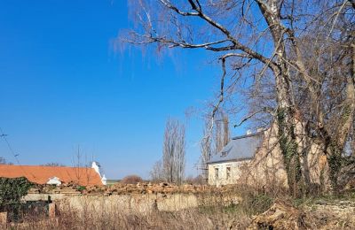 Zámek na prodej Ronov nad Doubravou, Moravany  1, okres Chrudim, Foto 16/17