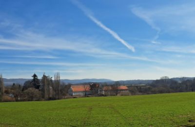 Zámek na prodej Ronov nad Doubravou, Moravany  1, okres Chrudim, Foto 17/17
