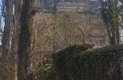 Zámek na prodej Ronov nad Doubravou, Moravany  1, okres Chrudim, Foto 13/17