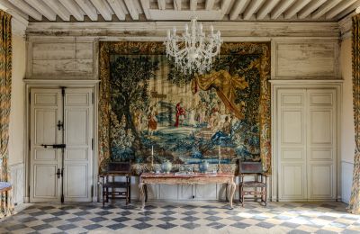 Zámek na prodej Nouvelle-Aquitaine, Foto 9/17