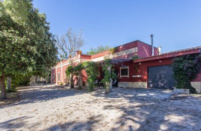 Historické nemovitosti, Country villa for sale in Francavilla Fontana with star vaults and one-hectare grounds