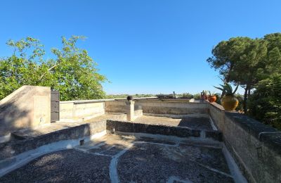 Venkovský dům na prodej Francavilla Fontana, Apulie, Foto 25/30