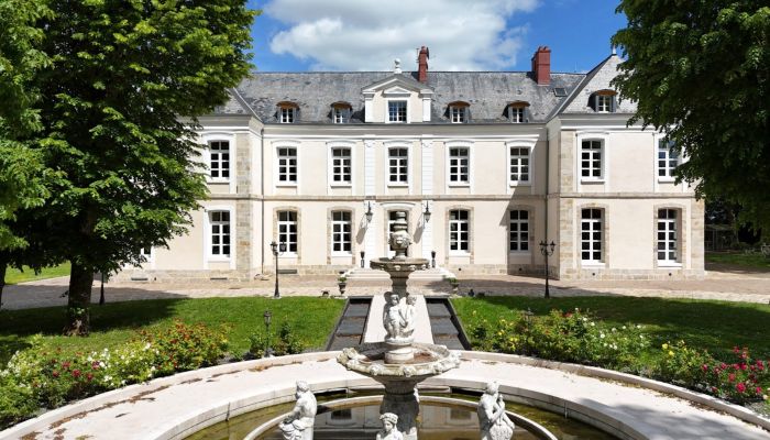 Zámek na prodej Provins, Île-de-France