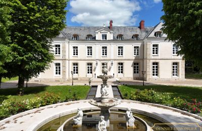 Zámek Provins, Île-de-France