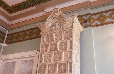 Historická vila na prodej Craiova, Bd. Nicolae Titulescu 4, Dolj, Foto 26/38