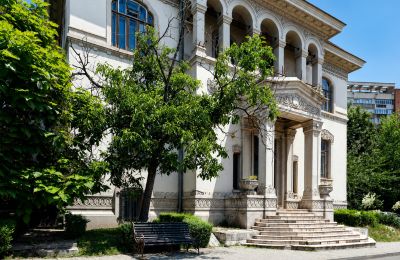 Historická vila na prodej Craiova, Bd. Nicolae Titulescu 4, Dolj, Foto 1/38