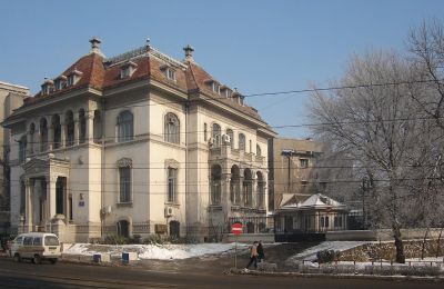 Historická vila na prodej Craiova, Bd. Nicolae Titulescu 4, Dolj, Foto 20/38