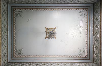 Historická vila na prodej Craiova, Bd. Nicolae Titulescu 4, Dolj, Foto 5/38
