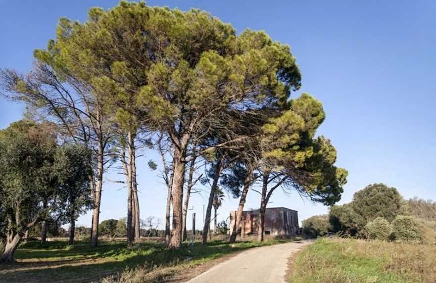 Obrázky Staré venkovské sídlo v Apulii s 6 ha pozemků a hospodářskými budovami