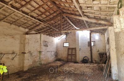 Historická vila na prodej Mesagne, Puglia, Foto 29/36