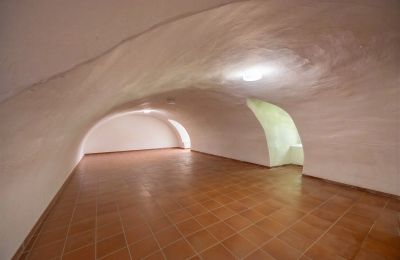 Zámek na prodej 32683 Barntrup, Severní Porýní-Vestfálsko, Kellerraum - Ostflügel