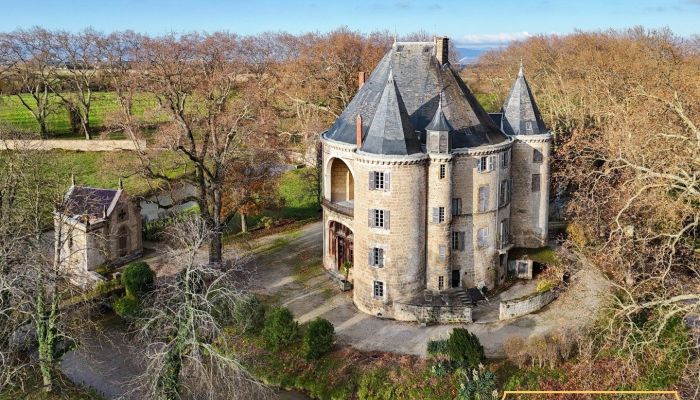 Château s vodním příkopem a panstvím o rozloze 87 hektarů nedaleko Valence