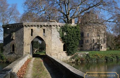 Hrad na prodej Valence, Auvergne-Rhône-Alpes, Foto 3/28