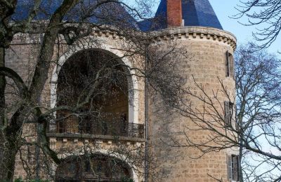 Hrad na prodej Valence, Auvergne-Rhône-Alpes, Foto 7/28