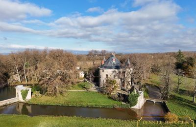 Hrad na prodej Valence, Auvergne-Rhône-Alpes, Foto 2/28