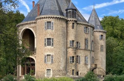 Hrad na prodej Valence, Auvergne-Rhône-Alpes, Foto 5/28
