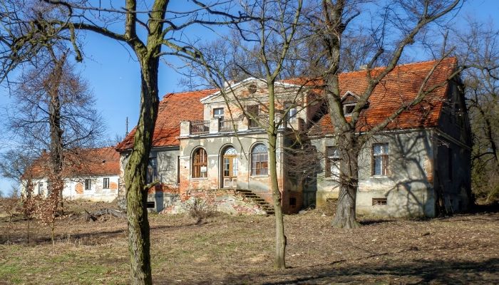 Zámeček na prodej Rogów Wołowski, Dolní Slezsko