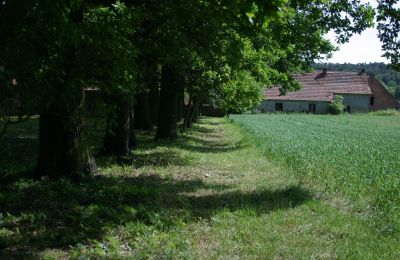 Zámeček na prodej Rogów Wołowski, Dolní Slezsko, Foto 20/25