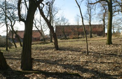 Zámeček na prodej Rogów Wołowski, Dolní Slezsko, Foto 10/25