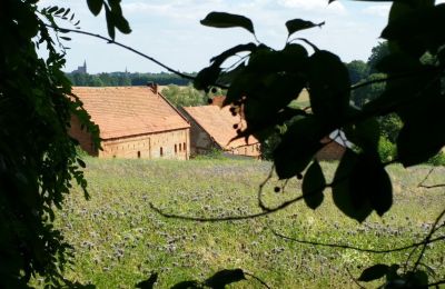 Zámeček na prodej Rogów Wołowski, Dolní Slezsko, Foto 6/25